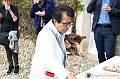 VBS_7446 - Mostra 'Albissola-Monteu Roero. Collezione piatti d'arte e antichi vasi da farmacia